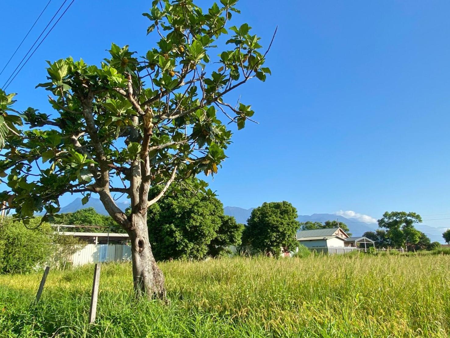 Najima B&B Ji'an Esterno foto
